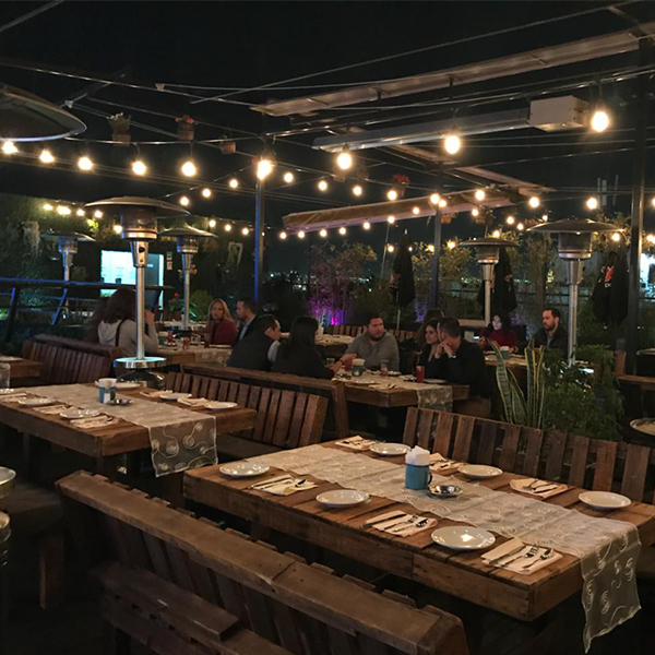 Sky Garden Queretaro Fasci Garden